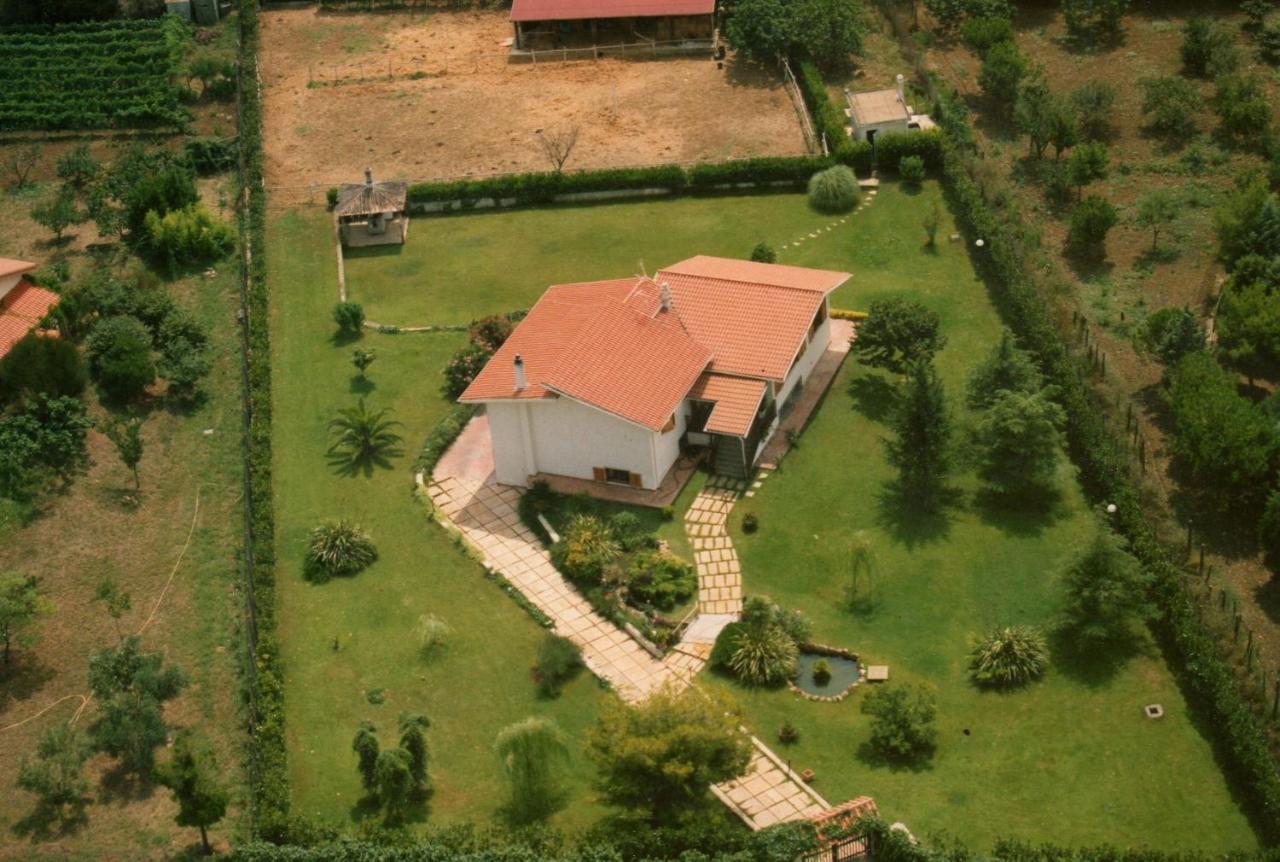 B&B Villa Sans Souci Чивитавекия Екстериор снимка