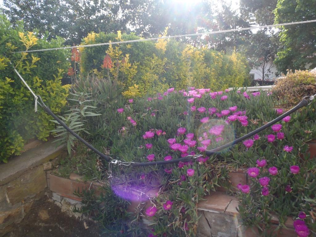 B&B Villa Sans Souci Чивитавекия Екстериор снимка